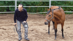 Management et cheval