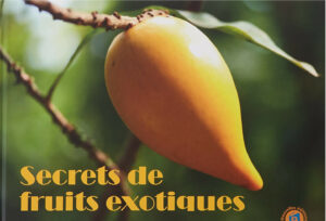 Agence conférenciers QVT Jean-Yves Maisonneuve Bienfaits des fruits