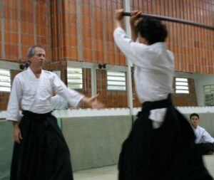 Pierre Fayard agence de conférenciers Management et arts martiaux aikido