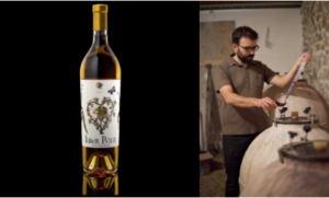 Agence conférencier CHANGEMENT DURABLE meilleur vin du monde