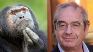 Agence Conferenciers INTELLIGENCE ÉMOTIONNELLE RELATIONNELLE Pascal Picq Chimpanzes