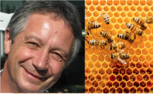 Agences conférenciers MANAGEMENT Henry Duchemin Abeilles