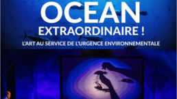 Agences conférenciers spectacle entreprise ENVIRONNEMENT RSE OCÉANS Gionata Pieracci et Lorenzo Manetti Sand Art et Piano