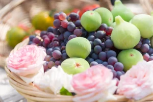 Agences conférenciers Gilles Degroote Permaculture team Building Main dans la Terre